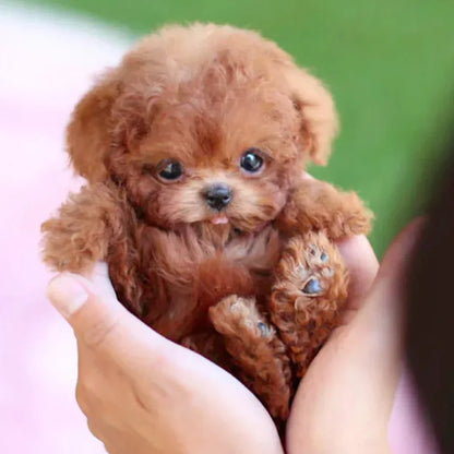 PuppyPal™ - das Original